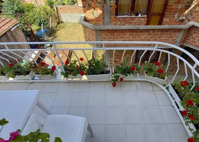 Flora ゲストハウス 3*