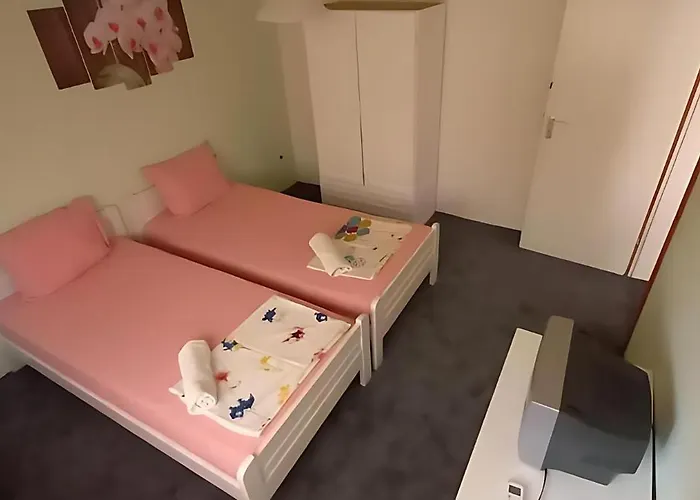 Flora ゲストハウス 3*