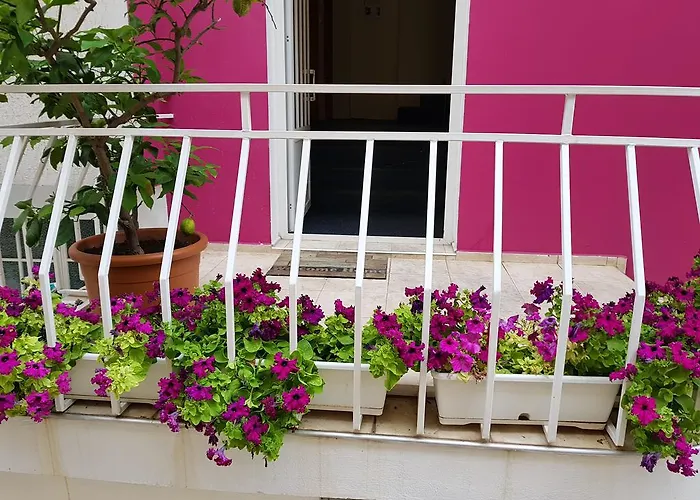 Flora ゲストハウス 3*