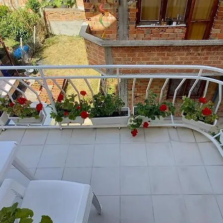 Flora Guest house 3*